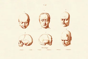 Frenología, 1833-39